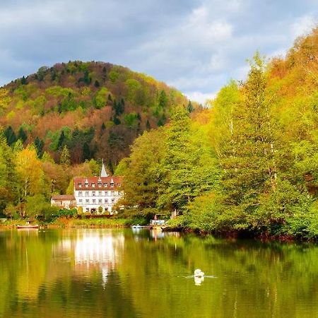 Hotel Pfaelzer Wald Бад-Бергцаберн Экстерьер фото